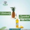 natraj pineapple sharbat